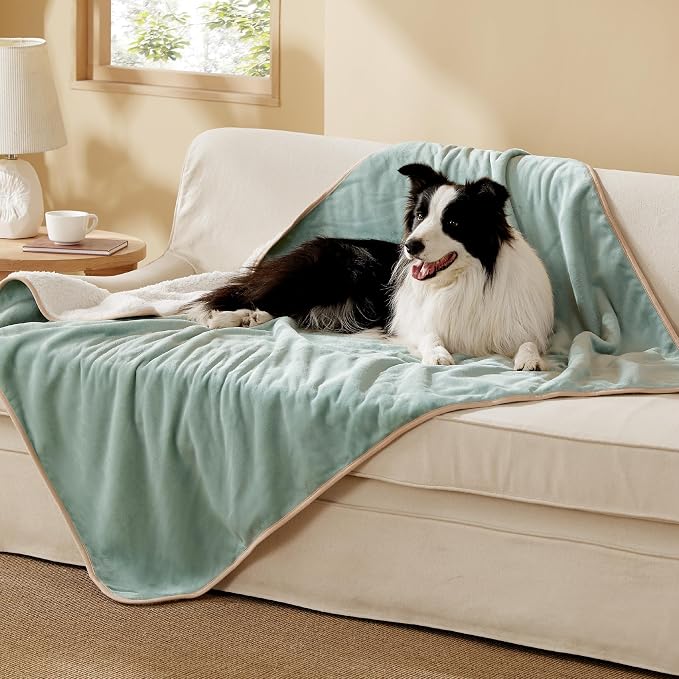 Bedsure Waterproof Dog Blankets for Extra Large Dogs - XL Cat Blanket Washable for Couch Protection, Sherpa Fleece Puppy Blanket, Soft Plush Reversible Throw Furniture Protector, 50x60, Light Green by Unknown