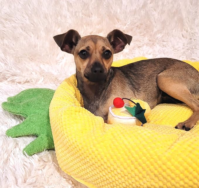 TONBO Soft Plush Small Cute and Cozy Food Dog Cat Bed, Washer and Dryer Friendly (Pineapple) - Image 2