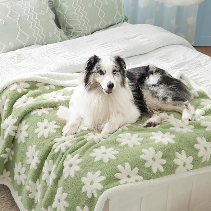 LE SURE Waterproof Dog Blankets for Large Dogs Cute Cozy 3D Jacquard,50x60 | Warm Soft Pet Blanket for Senior Dogs Aesthetic Gift, Washable Sherpa Throw, Reversible Couch Protector, Flower Garden Green by Lesure