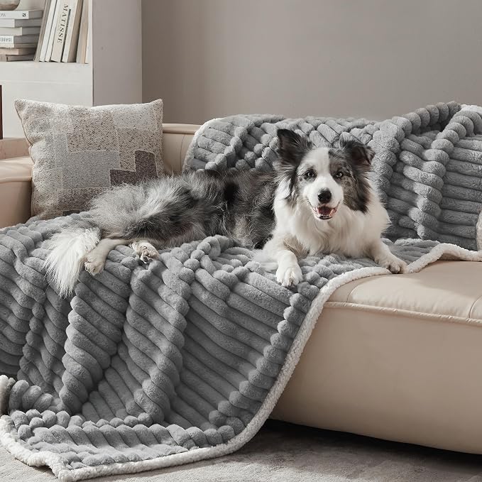 Waterproof Dog Blanket for Large Dogs, Soft Corduroy Fleece Pet Blanket Washable, Double Sided Cat Blankets for Furniture Protection, Reversible Cozy Calming Couch Blanket, 50"x60", Grey by WARMREST