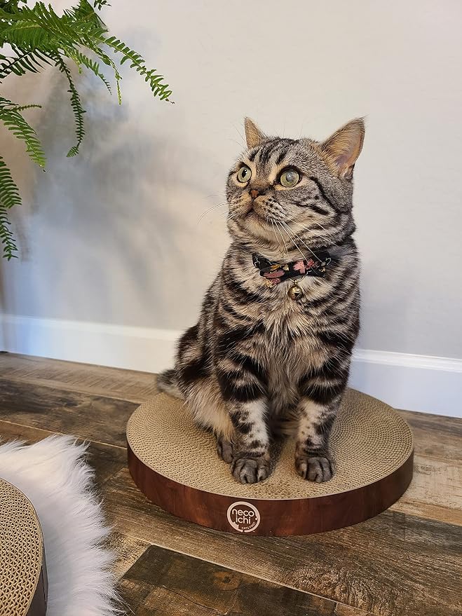 Necoichi Cat Scratcher Bowl Replacement for Indoor Cats - Cat Scratching Lounger with Reversible Usability and Extra Comfort for Lounge, Cardboard Bed Couch / (Regular, Dark Cherry) - Image 5