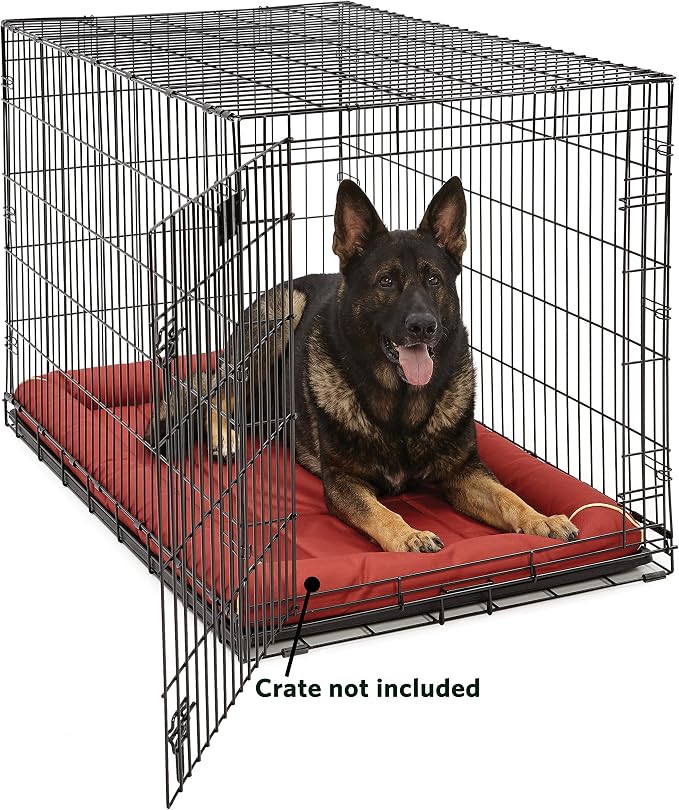 MidWest Homes for Pets XL QuietTime MAXX Ultra-Rugged Dog Bed, Water & Odor Resistant, Bolstered Edge, Non-Slip Bottom, Fits 48-inch Crates, Brick - Image 3