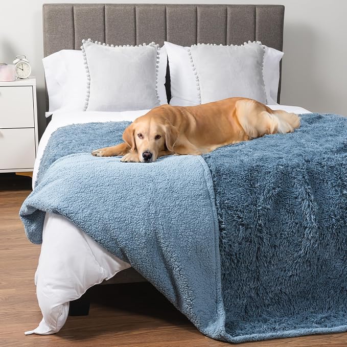 PetAmi Waterproof Dog Blanket for Couch, Bed & Furniture,Reversible Sherpa & Faux Fur Pet Blanket, Leakproof Pet Blanket for Large Dog Cat, Washable Soft Calming Protector Throw (60x80, Light Blue) by PetAmi