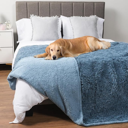 PetAmi Waterproof Dog Blanket for Couch, Bed & Furniture,Reversible Sherpa & Faux Fur Pet Blanket, Leakproof Pet Blanket for Large Dog Cat, Washable Soft Calming Protector Throw (60x80, Light Blue) by PetAmi