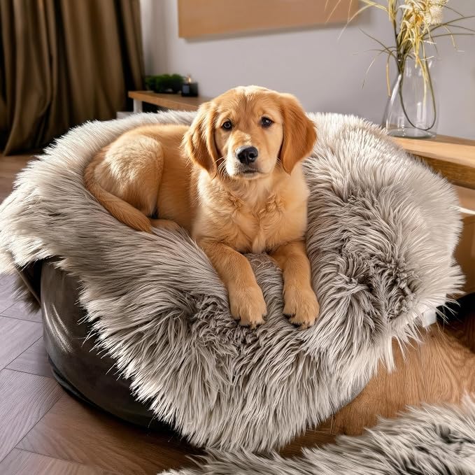 IHAPPYDOG Faux Fur Dog Blanket, Waterproof Couch Cover, Grey 80"x60" | Plush Sheepskin Style Pet Throw for Sofa, Bed, and Car, Washable Furniture Cover that Protects From Fur and Spills - Image 2