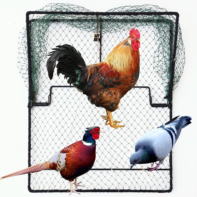 Bird Trap Pigeon Quail Live Animal Control Spring Starling Chicken Snares for Trapping by Unknown