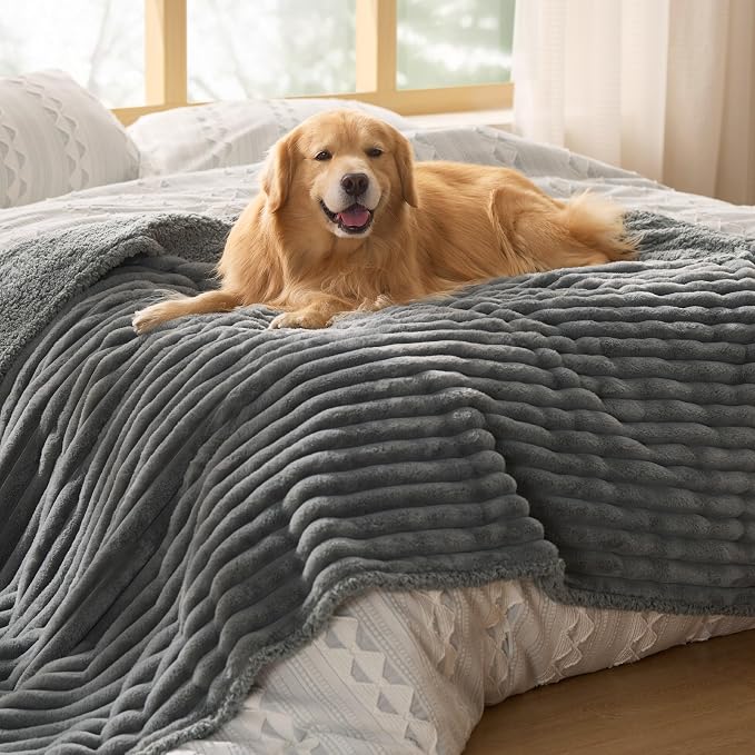 Bedsure ComfyFleece™ Waterproof Blanket for Bed, Twin（60"x80"） Warm Grey | Soft Plush Couch Bed Cover Corduroy Fleece for Furniture Protector, Cozy Calming Reversible Dog Blankets for Large Dogs Pet by Unknown
