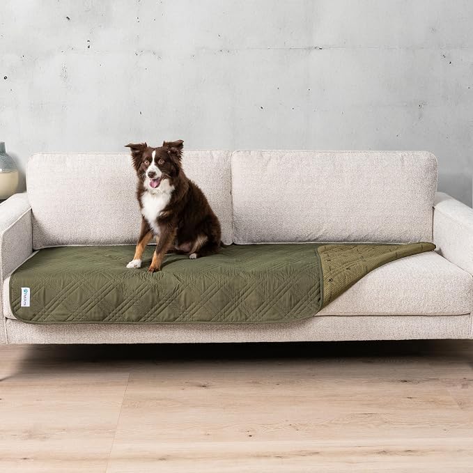 PetAmi Waterproof Couch Cover for Dogs, Non-Slip Leakproof Sofa Furniture Protector for Pet Cat, Machine Washable Bed Blanket for Car Seat, 30x70 Green by PetAmi