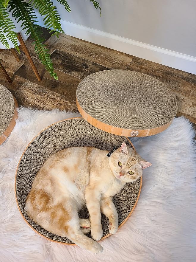 Necoichi Cat Scratcher Bowl Replacement for Indoor Cats - Cat Scratching Lounger with Reversible Usability and Extra Comfort for Lounge, Cardboard Bed Couch / (Regular, Oak) - Image 3