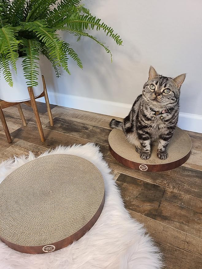 Necoichi Cat Scratcher Bowl Replacement for Indoor Cats - Cat Scratching Lounger with Reversible Usability and Extra Comfort for Lounge, Cardboard Bed Couch / (XL, Dark Cherry) - Image 5