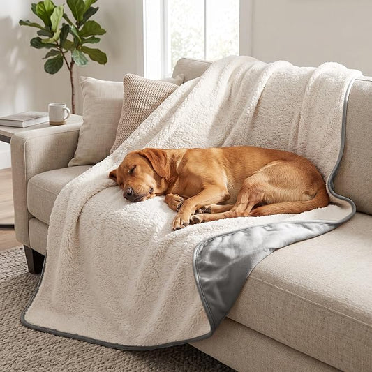 Waterproof Blanket for Dogs - Pet Throw as Furniture Protector | Cozy Sherpa & Smooth Velvet, Reversible and Machine Washable, for Couch and Bed, 50"x60", Dark Grey by Bigbeer