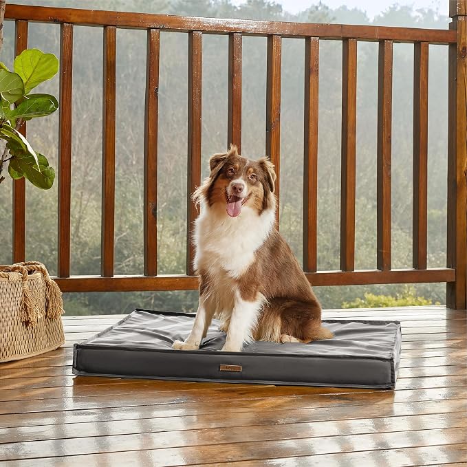 LE SURE Outdoor Waterproof Dog Beds Medium Size,Orthopedic Pet Mat,30x20In | Crate Pad for Dogs with Oxford Fabric Surface,Removable Washable Cover,Egg Foam Kennel Pads,Non slip Bottom,Grey - Image 5