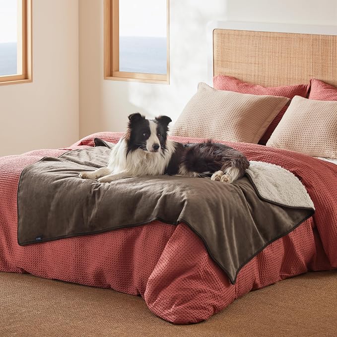Bedsure Waterproof Dog Blankets for Large Dogs Sherpa Fleece Throw, 50X60 | Washable Soft Plush Pet Cat Blanket for Couch Cover, Reversible Cozy Calming Furniture Protector Warm for Senior Dogs,Brown - Image 10