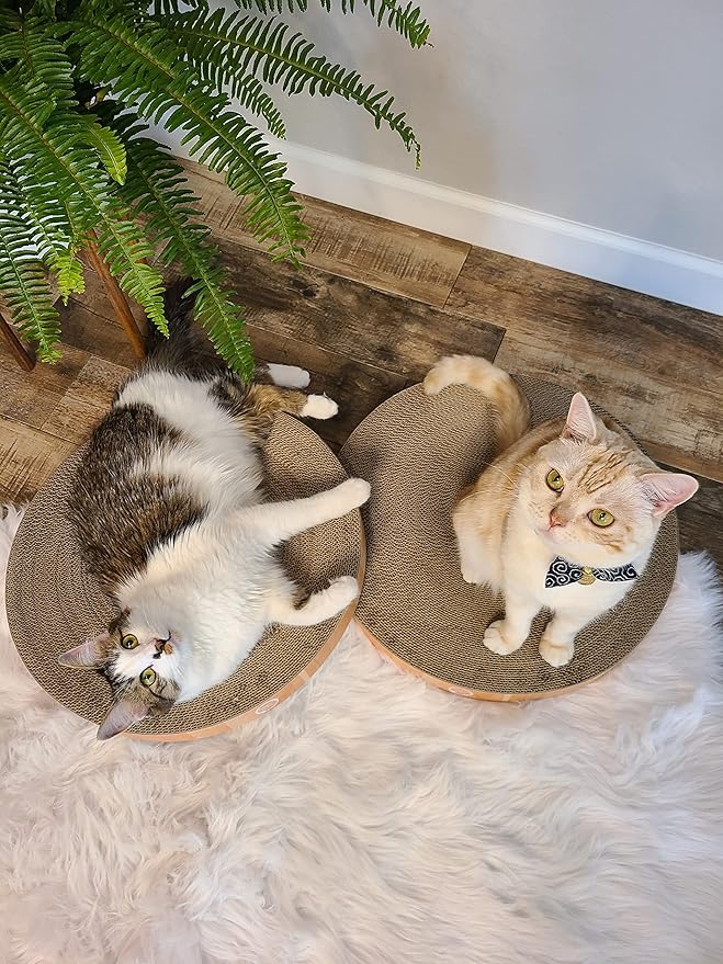 Necoichi Cat Scratcher Bowl Replacement for Indoor Cats - Cat Scratching Lounger with Reversible Usability and Extra Comfort for Lounge, Cardboard Bed Couch / (Regular, Oak) - Image 2