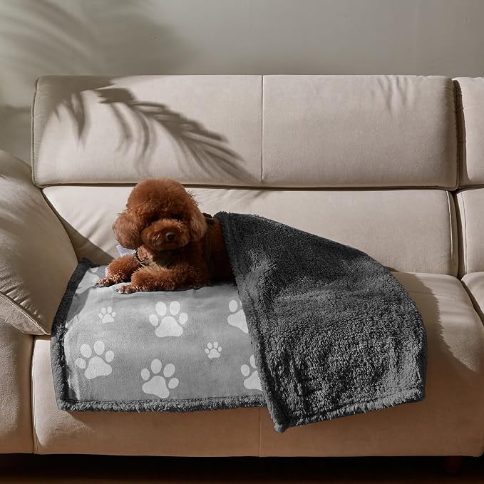 Kritter Planet Waterproof Reversible Pet Blanket for Small Dogs | 30 x 50 Inch, Washable Pet Protector for Sofa, Couch, Crates and Car Seats, Guards Against Fur, Dirt and Everyday Spills - Image 2