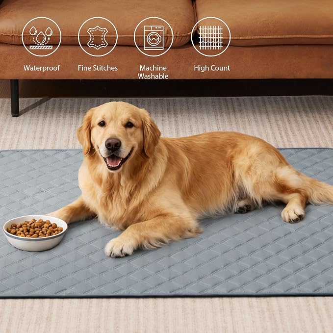 Eterish Reusable Washable Pee Pads for Dogs Extra Large 48'' x 60'' 2 Pack, Absorbent Pet Puppy Dog Training Pads Non-Slip, Waterproof Whelping Potty Pads for Dogs Leak-Proof - Image 2