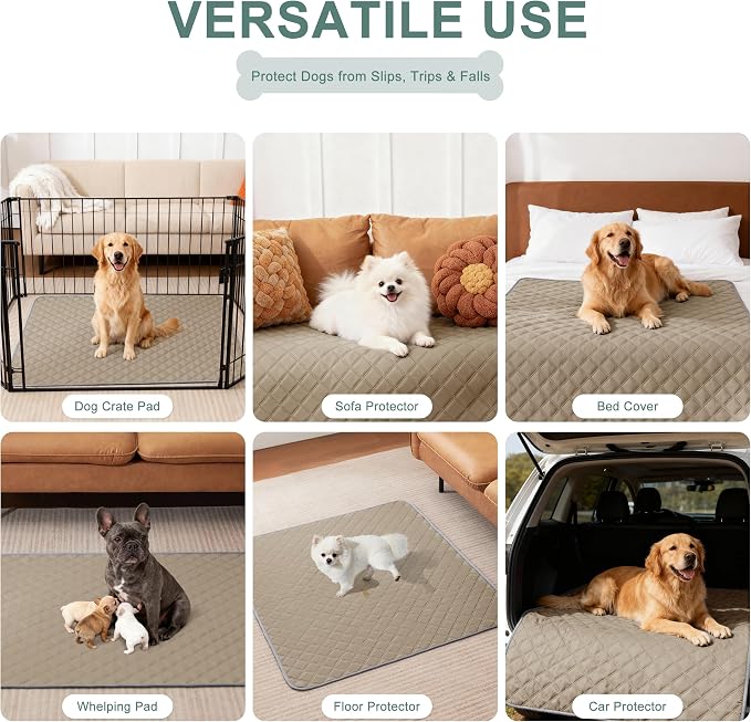 Eterish Reusable Washable Pee Pads for Dogs Large/Extra Large 36'' x 41'' 2 Pack, Absorbent Pet Puppy Dog Training Pads Non-Slip, Waterproof Whelping Potty Pads for Dogs Leak-Proof - Image 6