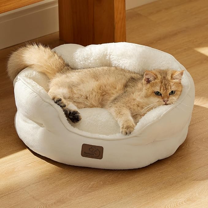 Bedsure Small Dog Bed Washable,Round Cat Beds for Indoor Cats,20in Ivory | Soft Plush Pet Bed,Dog Beds for Small Dogs for Puppy and Kittens,Anti-Slip Bottom,Easy to Clean - Image 7