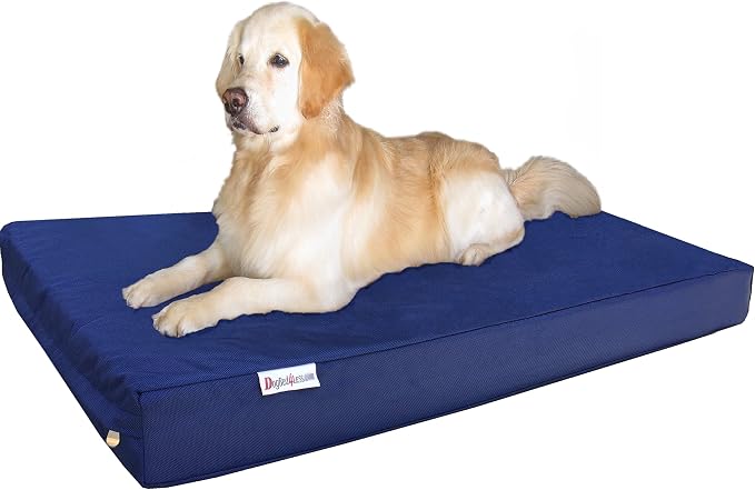 Dogbed4less Orthopedic Waterproof Heavy Duty Gel Memory Foam Dog Bed for Large Dogs, Nylon Cover in Blue, Jumbo 55X47X4 Inches by Dogbed4less