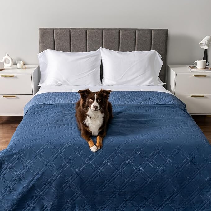 PetAmi Waterproof Couch Cover for Dogs, Non-Slip Leakproof Sofa Furniture Protector for Pet Cat, Machine Washable Bed Blanket for Car Seat, 102x82 Blue - Image 2