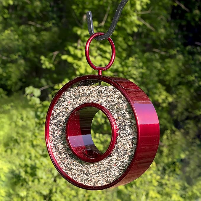 Good Directuions Fly Thru Red Bird Feeder with Plexiglass