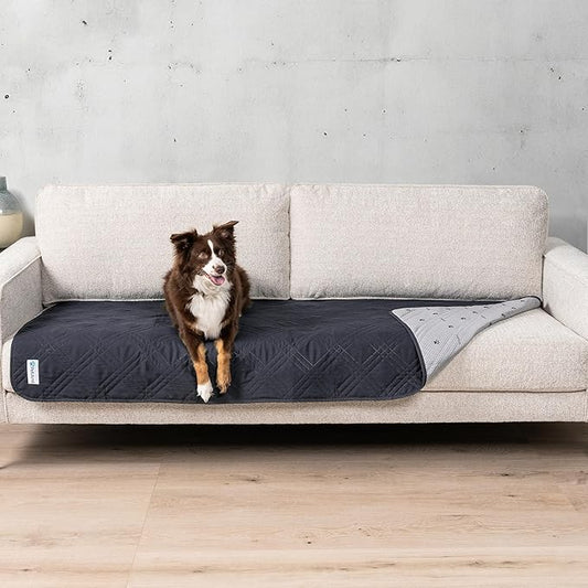 PetAmi Waterproof Couch Cover for Dogs, Non-Slip Leakproof Sofa Furniture Protector for Pet Cat, Machine Washable Bed Blanket for Car Seat, 30x70 Gray by PetAmi