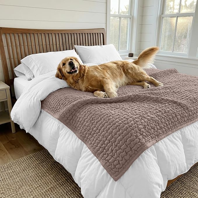 PAULATO BY GA.I.CO. Waterproof Blanket for Bed – Queen Absorbent Couch Cover – Machine Washable Stain-Proof Pad for Large Sofa – Pets Dogs & Cats Friendly Protector - Soft Taupe - Image 2