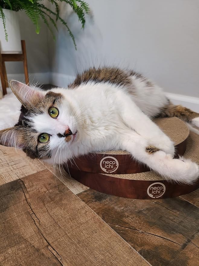 Necoichi Cat Scratcher Bowl Replacement for Indoor Cats - Cat Scratching Lounger with Reversible Usability and Extra Comfort for Lounge, Cardboard Bed Couch / (Regular, Dark Cherry) - Image 6