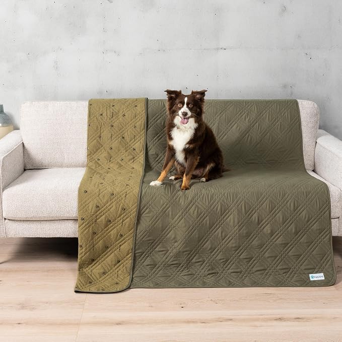 PetAmi Waterproof Couch Cover for Dogs, Non-Slip Leakproof Sofa Furniture Protector for Pet Cat, Machine Washable Bed Blanket for Car Seat, 68x82 Green by PetAmi
