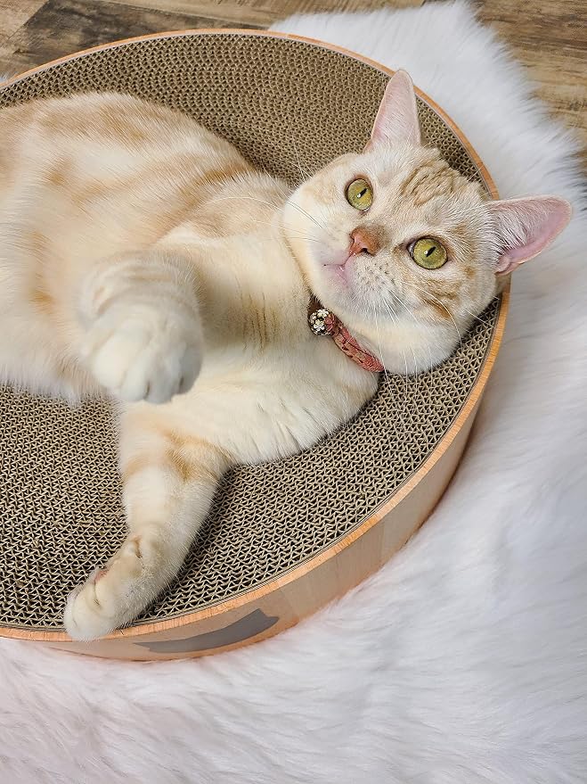 Necoichi Cat Scratcher Bowl for Indoor Cats - Cat Scratching Lounger with Reversible Usability and Extra Comfort for Lounge, Cardboard Bed Couch / (Regular, Oak) - Image 8