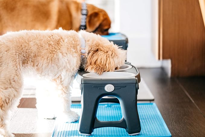 Dexas Pets Adjustable Height Double Pet Feeder, Light Gray - Image 6