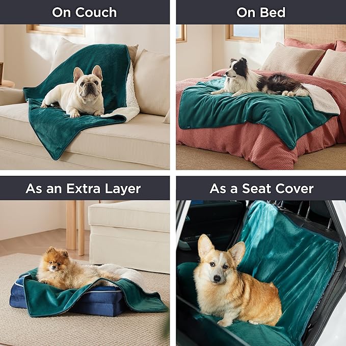 Bedsure Waterproof Dog Blankets for Large Dogs Sherpa Fleece Throw, 40X50 | Washable Soft Plush Pet Cat Blanket for Couch Cover, Reversible Cozy Calming Sofa Protector Warm for Senior Dogs,Green - Image 5