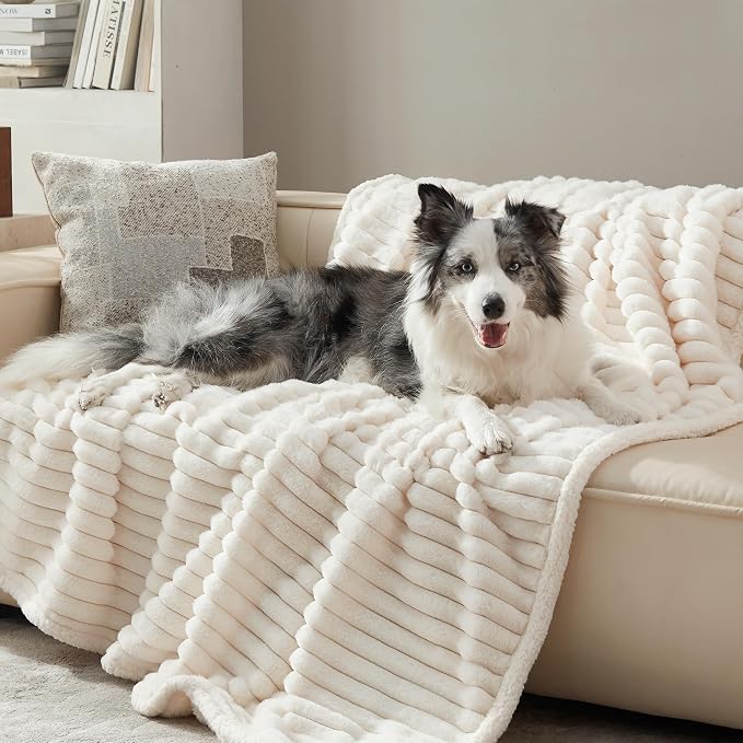 Waterproof Dog Blanket for Large Dogs, Soft Corduroy Fleece Pet Blanket Washable, Double Sided Cat Blankets for Furniture Protection, Reversible Cozy Calming Couch Blanket, 50"x60", Cream by WARMREST