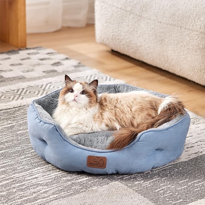 Bedsure Small Dog Bed Washable,Round Cat Beds for Indoor Cats,20in | Frost Blue Soft Plush Pet Bed,Dog Beds for Small Dogs for Puppy and Kittens,Anti-Slip Bottom,Easy to Clean - Image 2