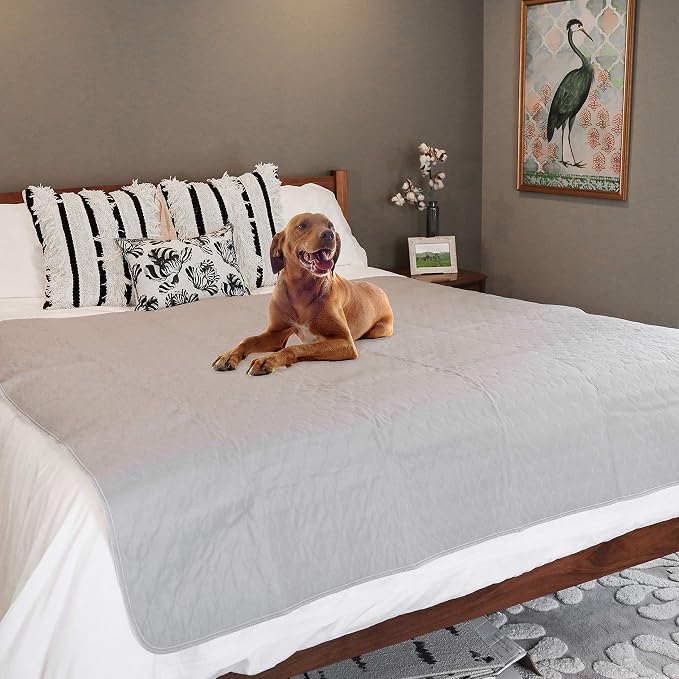 rocket & rex Premium XL Non-Slip Washable Dog Playpen Mat (60"x60") | For whelping, potty training & travel. OEKO-TEX certified, chemical-free. - Image 8