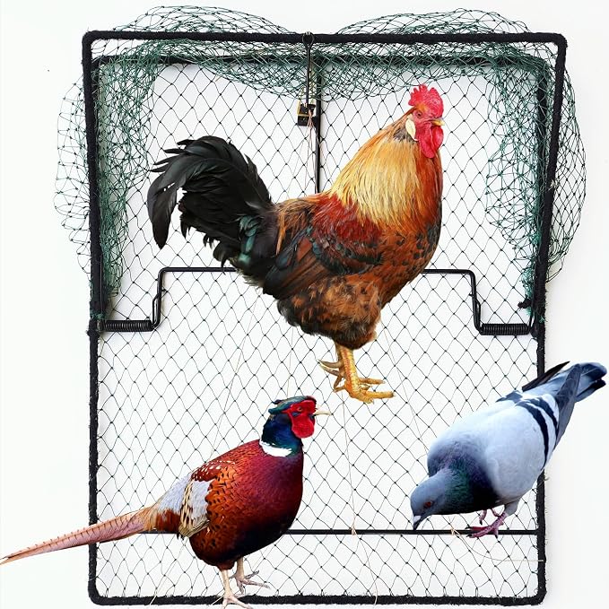Pigeon Bird Trap Trapping Chicken Quail 2 Pack Spring Starling Catching Net Traps by Unknown