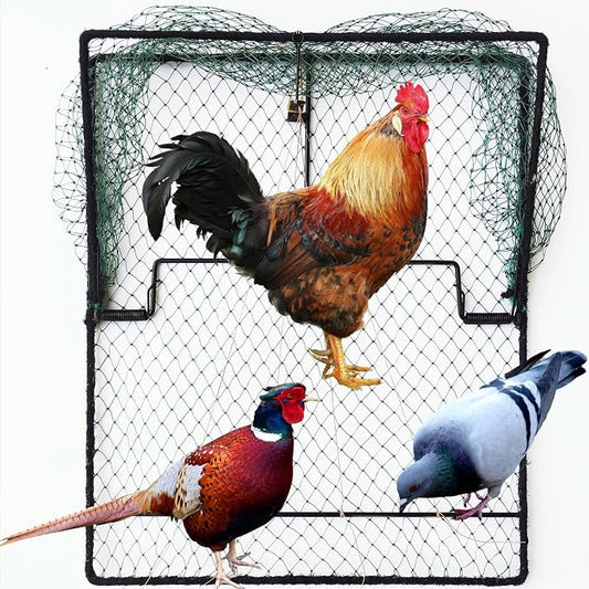 Pigeon Bird Trap Trapping Chicken Quail 2 Pack Spring Starling Catching Net Traps by Unknown