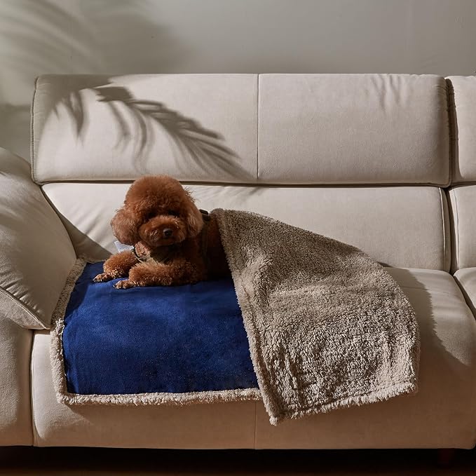 Kritter Planet Waterproof Reversible Pet Blanket for Small Dogs | 30 x 50 Inch, Washable Pet Protector for Sofa, Couch, Crates and Car Seats, Guards Against Fur, Dirt and Everyday Spills - Image 2