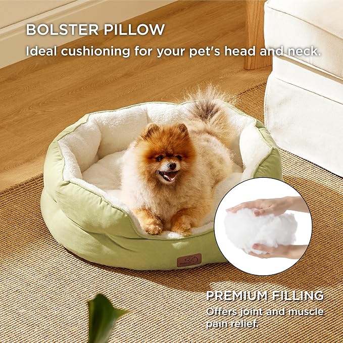 Bedsure Small Dog Bed Washable,Round Cat Beds for Indoor Cats,25in | Bean Green Soft Plush Pet Bed,Dog Beds for Small Dogs for Puppy and Kittens,Anti-Slip Bottom,Easy to Clean - Image 3