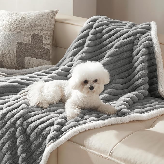 Waterproof Dog Blanket for Small Dogs, Corduroy Fleece Pet Blanket Washable, Dual-Sided Puppy Cat Blankets for Furniture Protection, Cozy Calming Couch Blanket for Doggy, 25"x35", Grey by WARMREST