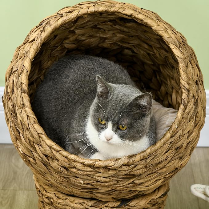 PAWHUT Egg Chair Rattan Elevated CAT Bed with Removable Cover, 17-in, Brown | Soft Cushion & Egg Chair Shape, Basket Bed Kitty House with Stand, Raised Wicker House - Image 8