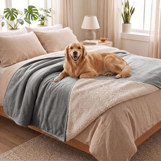 Waterproof Blanket for Dogs - Pet Throw as Furniture Protector | Cozy Sherpa & Smooth Velvet, Reversible and Machine Washable, for Couch and Bed, 60"x80", Dark Grey by Bigbeer