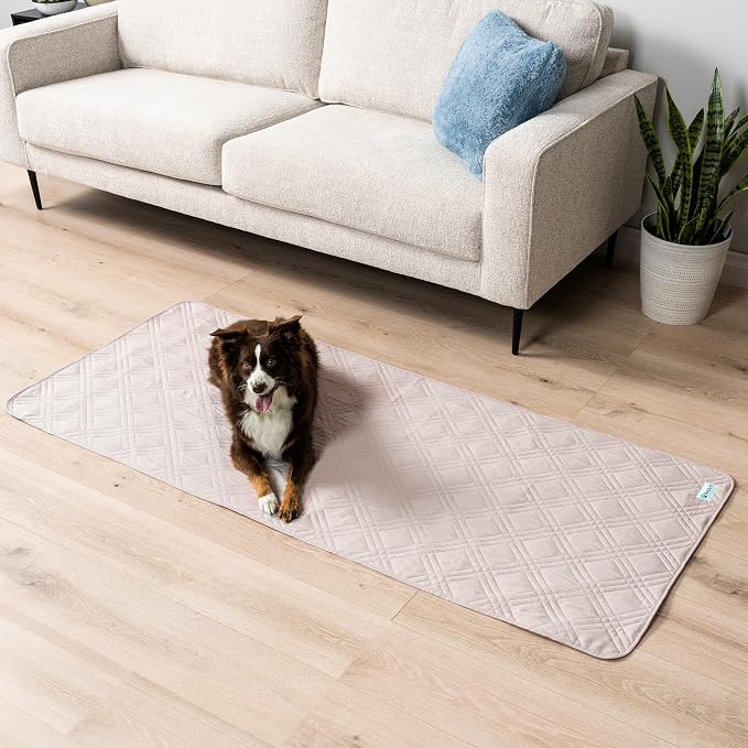 PetAmi Waterproof Couch Cover for Dogs, Non-Slip Leakproof Sofa Furniture Protector for Pet Cat, Machine Washable Bed Blanket for Car Seat, 30x70 Beige - Image 2