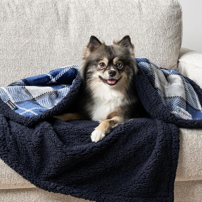 PetAmi Waterproof Dog Blanket for Couch, Pee Proof Sherpa Fleece Reversible Pet Throw, Furniture Protector for Bed Sofa Kennel, Soft Washable Cover for Small Medium Dog Puppy Cat, 29x40 Plaid Blue - Image 7