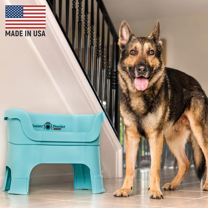 Neater Feeder Deluxe Mess-Proof Elevated Dog Bowls for Large Dogs (40+ lbs), 2 Height Adjustable (14.5” & 17.5”) No-Spill Raised Dog Bowl Stand, Stainless Steel Food Bowl Set, Made in USA, Aquamarine - Image 2