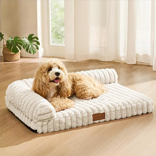 Orthopedic Calming Medium Dog Bed Pet Sofa Bed 30''X20'' Ivory | 2-Sided Pet Couch Medium Size Dog, Soft Egg-Crate Foam Dog Mat, Waterproof Removable Washable Cover, Nonskid Bottom Cat Bed by Unknown