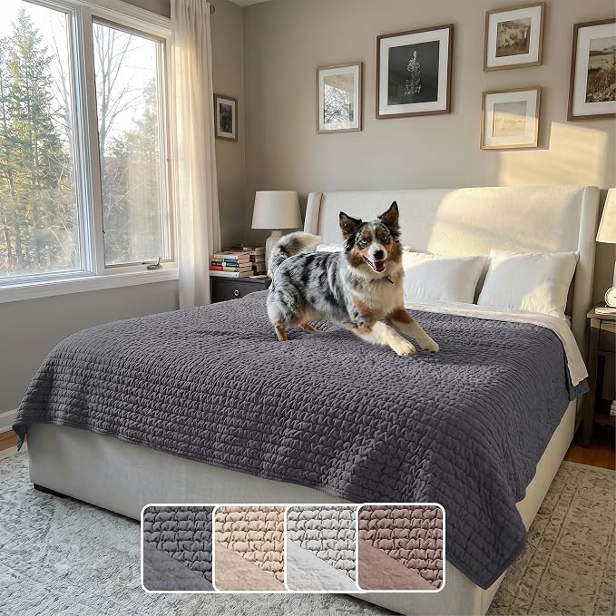 PAULATO BY GA.I.CO. Waterproof Blanket for Bed – King Absorbent Couch Cover – Machine Washable Stain-Resistant Pad for Large Sofa – Pets Cat & Dog Friendly Furniture Protector - Dark Grey by PAULATOBYGAICO