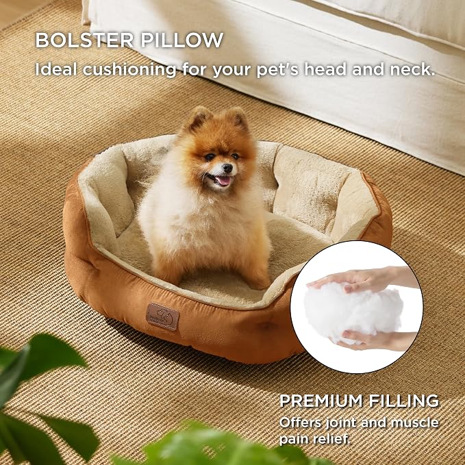 Bedsure Small Dog Bed Washable,Round Cat Beds for Indoor Cats,25in | Terracotta Soft Plush Pet Bed,Dog Beds for Small Dogs for Puppy and Kittens,Anti-Slip Bottom,Easy to Clean - Image 3