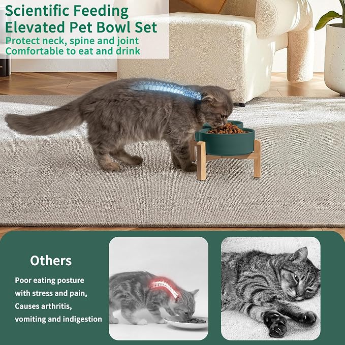 Elevated Ceramic Dog Bowl, 2 Cups Dog Food and Water Bowl Set with Stand | 5.1'' Double Dog Feeding Dishes, Non-Slip Raised Dog Feeder for Cats and Puppies, 16.23 OZ / 480 ML, White - Image 4