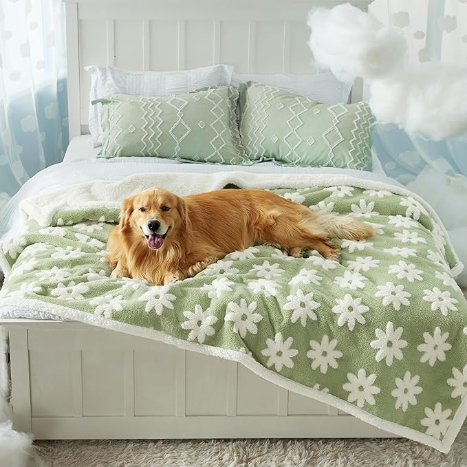 LE SURE Waterproof Blanket for Bed Cute Cozy 3D Jacquard, Twin（60x80） | Dog Blankets for Large Dogs, Pet Aesthetic Gift, Warm Soft Sherpa Throw, Reversible Couch Protector, Flower Garden Green by Lesure